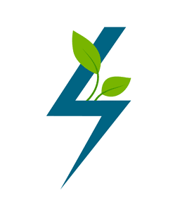 Installateur borne electrique Lyon éclair